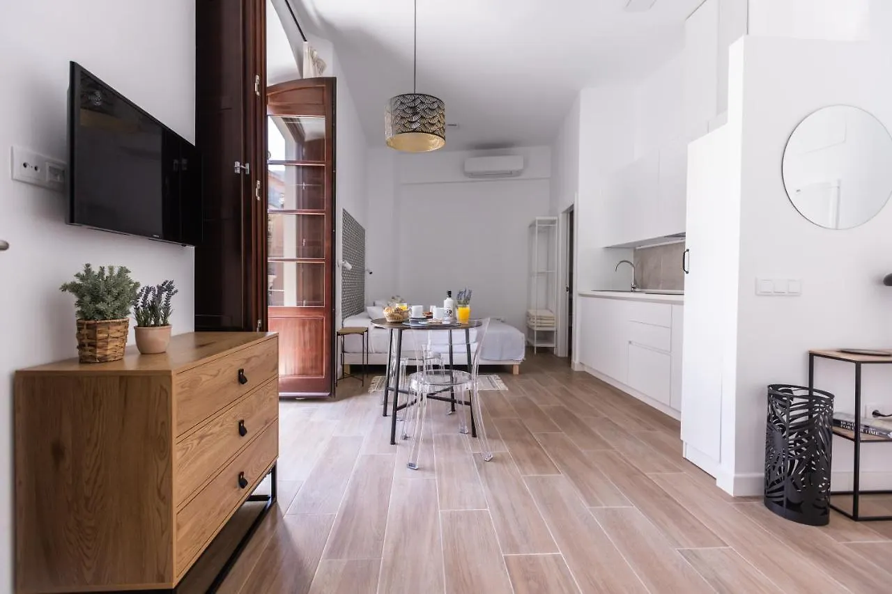Apartamento-Loft Especeria Black Malaga